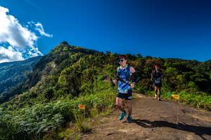 BIB: 
                            <button type="button" onclick="openModal(19033353)" class="btn btn-primary btn-sm float-right btn-popup" data-toggle="modal" data-target=".modal-high-quality">
                        <i class="fas fa-shopping-cart"></i> Add to Cart
                    </button>
                                            <button type="button" onclick="isThisMe(19033353, true)" class="btn btn-success btn-sm float-right btn-popup btn-isme hidden" data-toggle="tooltip" data-placement="bottom" title="นี่คือรูปของคุณใช่ไหม คลิกที่นี่เพื่อเอาเข้าอัลบั้ม">
                        <i class="fas fa-plus"></i> Add to album
                    </button>
                    <button type="button" onclick="isThisMe(19033353, false)" class="btn btn-warning btn-sm float-right btn-popup btn-isnotme hidden">
                        <i class="fas fa-ban"></i> Remove from album
                    </button>